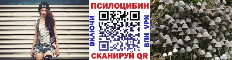 Галлюциногенные грибы Psilocybe  Димитровград 